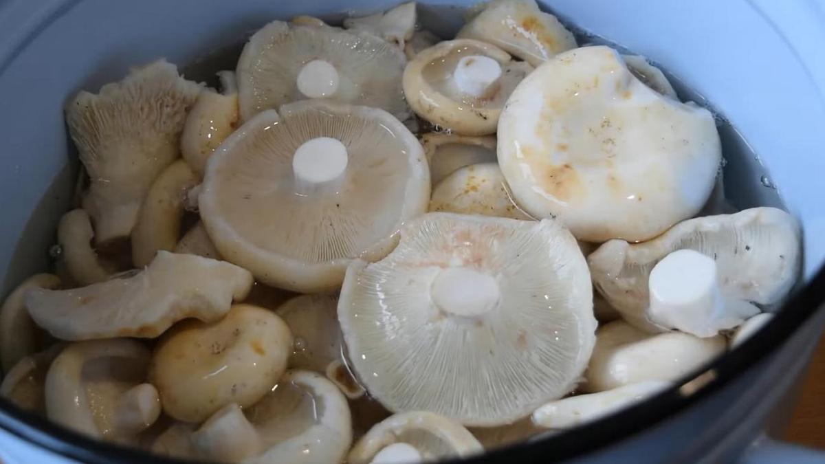 Сухие грибы на зиму: как правильно солить