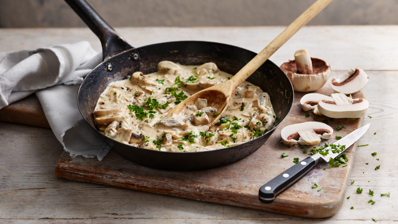 Рецепты грибного соуса: с молоком, свежими, сушеными грибами.