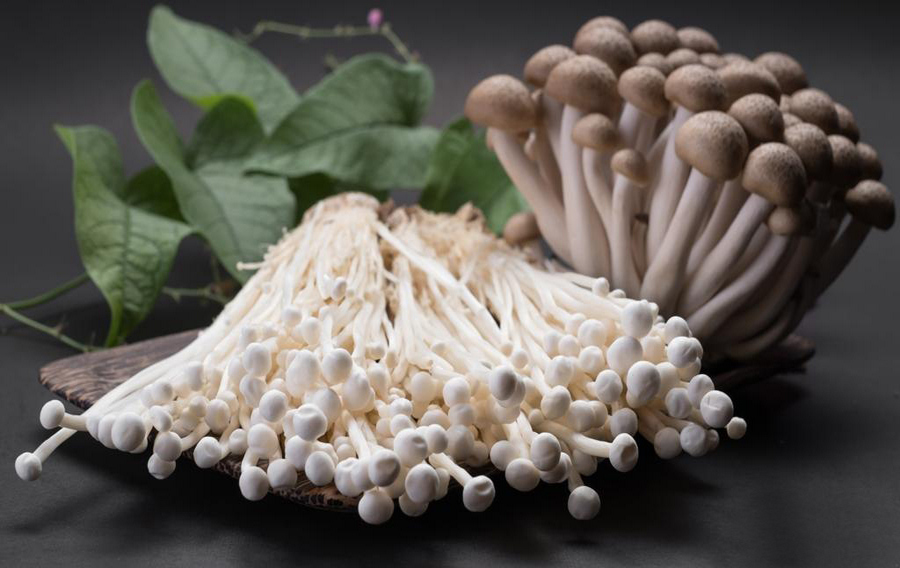 Что такое грибы эноки? Как их хранить и использовать.