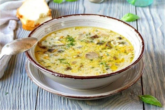 Суп из замороженных белых грибов - 15 самых вкусных рецептов