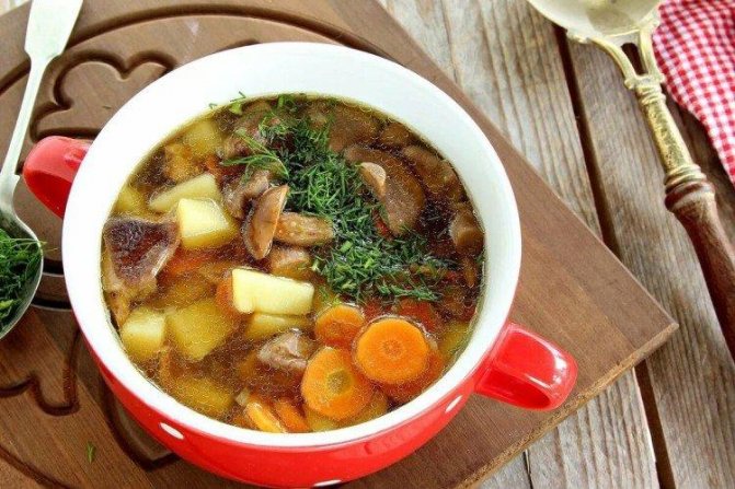 Грибной суп в мультиварке - Рецепты