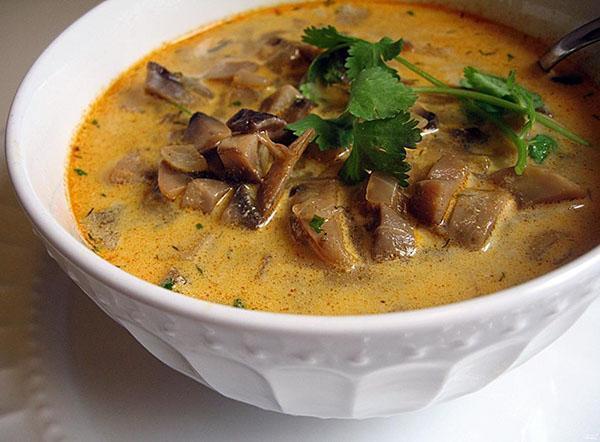 Грибной суп с замороженными грибами, рецепт супа с фото, видео