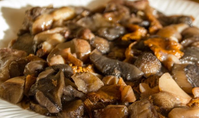 Зонтичный гриб: вкусные рецепты