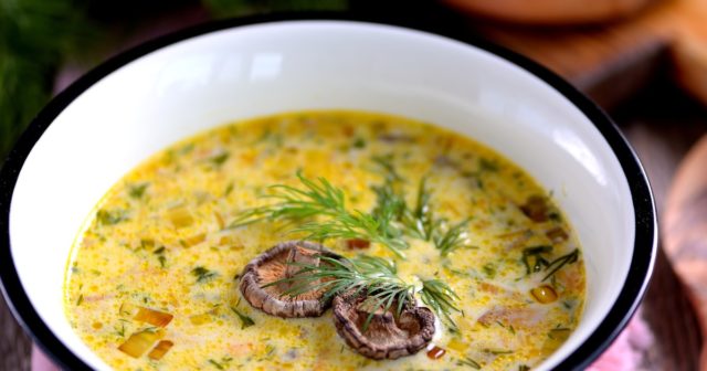 16 рецептов грибного супа из свежих белых грибов с сыром