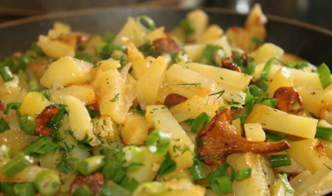 Как приготовить сушеные грибы с картофелем: вкусные рецепты