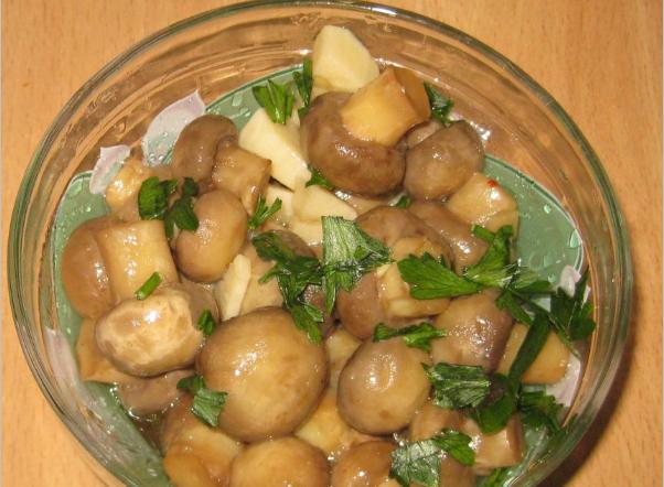 Домашние маринованные грибы - 7 рецептов вкусных начинок - Шаг 29