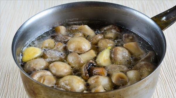 Домашние маринованные грибы - 7 вкусных рецептов для быстрого приготовления фаза 6