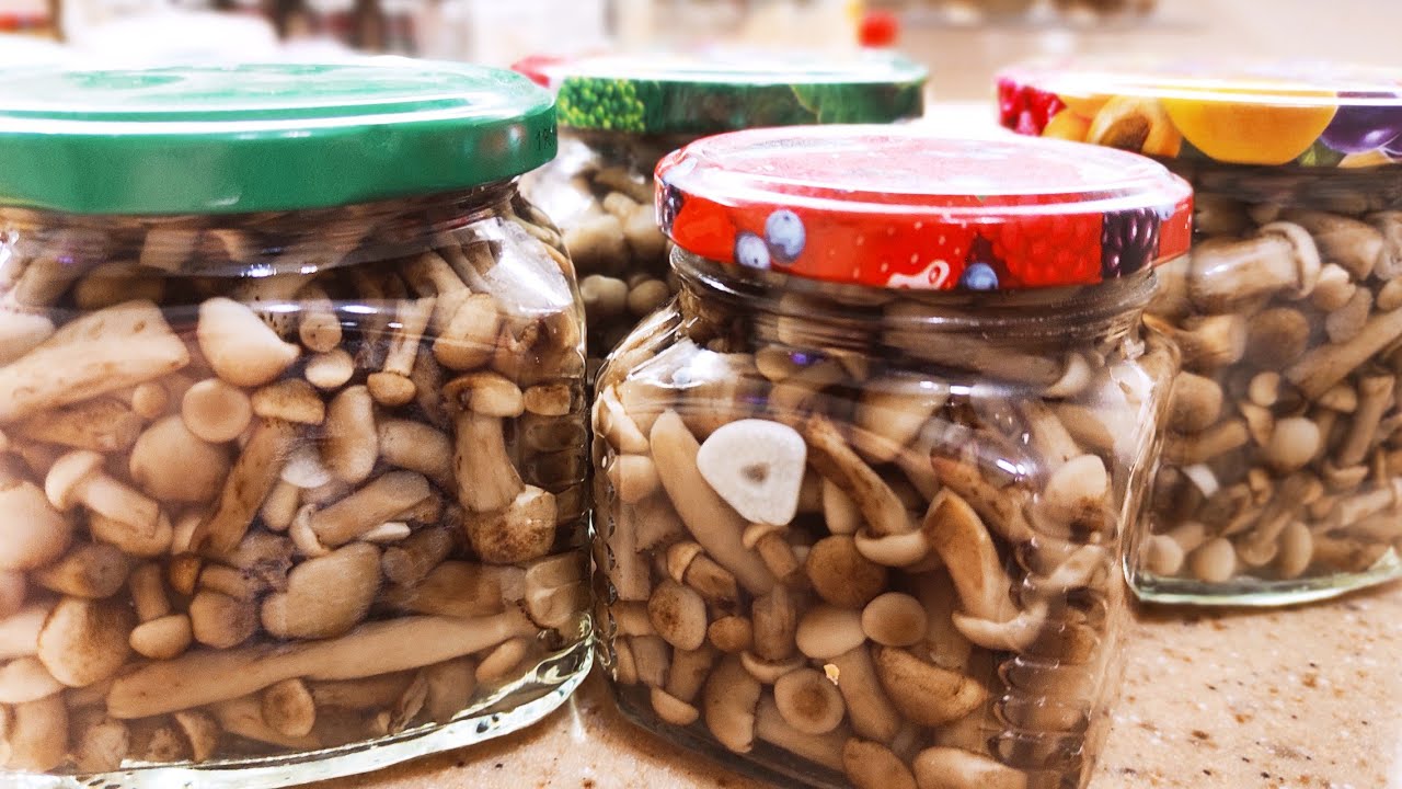 Простой рецепт маринования грибов на зиму . #worldzakuson - YouTube