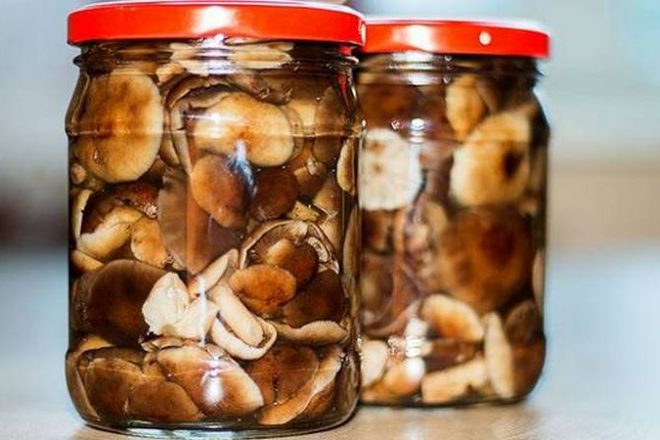 Быстрый и вкусный рецепт маринованных буковых грибов на зиму, рецепт с фото и видео - Вкусно.ру