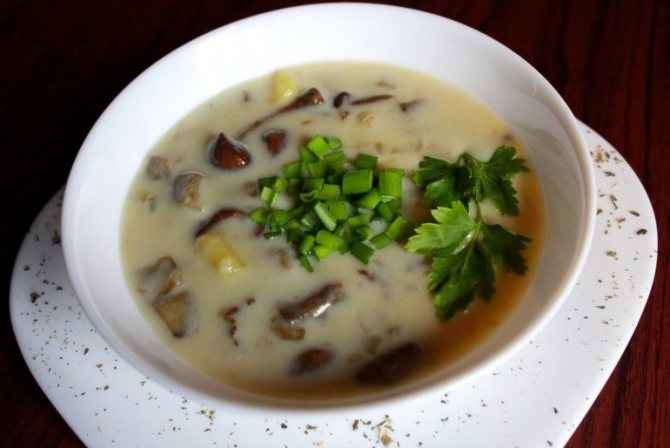 Грибной суп из маринованных шампиньонов из банки с картофелем