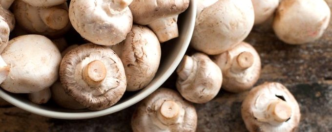 Как долго варить грибы, пошаговый рецепт с фото