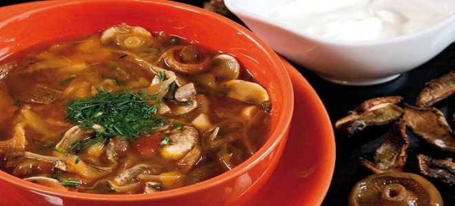 Суп солянка с грибами и капустой - рецепт