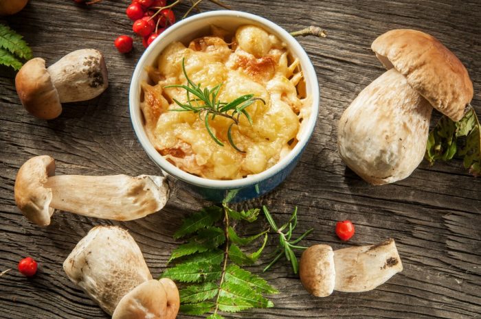 12 лучших рецептов жульена с белыми грибами и курицей