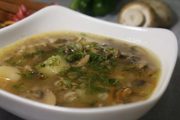 Можно ли из соленых грибов сварить вкусный суп