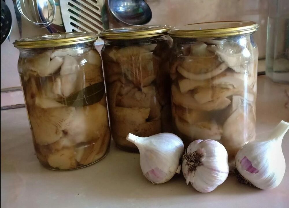 Как солить молочные грибы на зиму, чтобы они были хрустящими: быстрые рецепты, рассол по 1 литру в кастрюле и в стеклянных банках, сколько соли сыпать