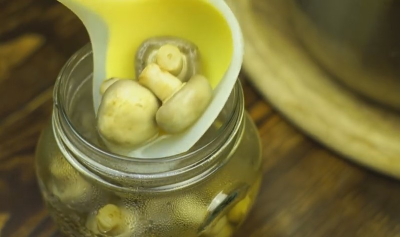 Можно ли мариновать грибы с лимонной кислотой