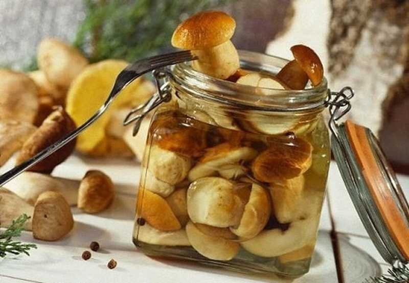 Вкусный маринад для грибов - 15 лучших пошаговых рецептов заготовки грибов на зиму в домашних условиях
