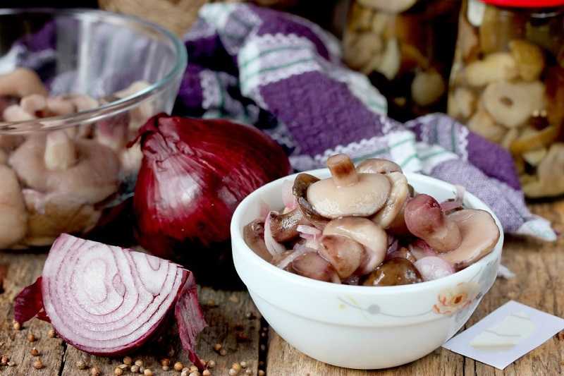 Топ-10 простых и вкусных рецептов маринада для грибов