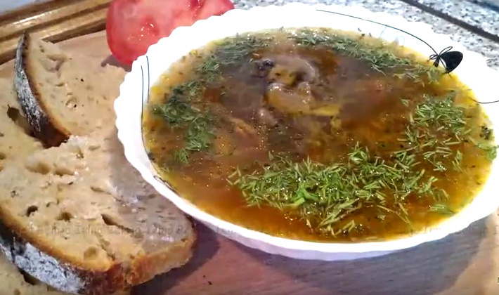 Рецепт груздянки с замороженными или солеными грибами. Груданка: лучшие рецепты королевского грибного супа