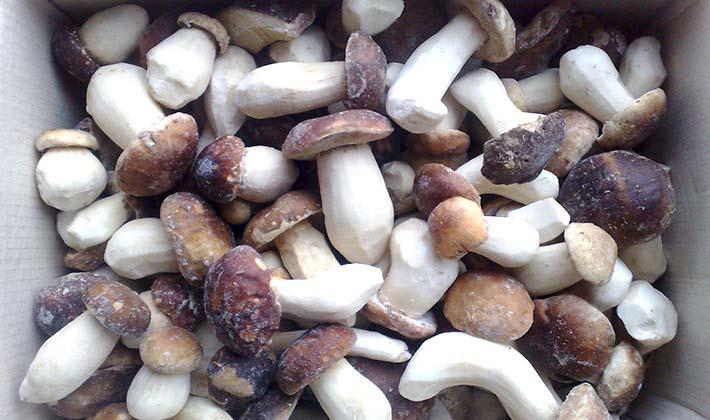 Как хранить свежие белые грибы в холодильнике: можно ли это делать, как долго