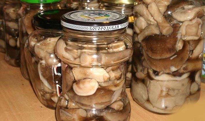 Маринованные грибы рябины: рецепты, как замариновать грибы рябины на зиму