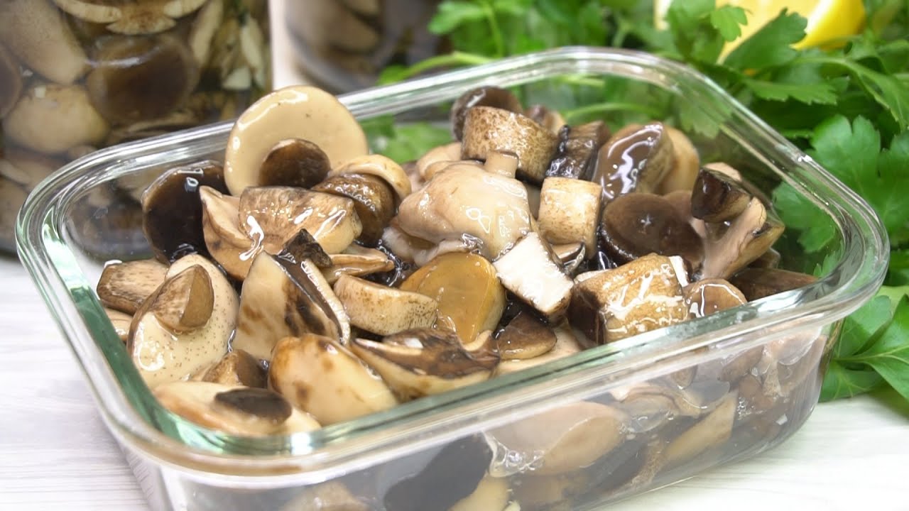 Самые вкусные маринованные грибы на зиму, они как свежие! Друг-врач раскрыл все секреты!