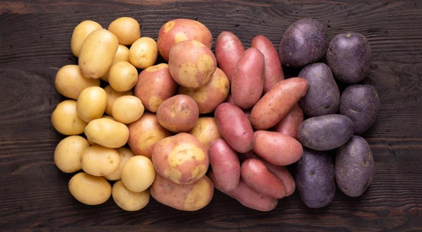 7 уникальных сортов картофеля, встречающихся только в России