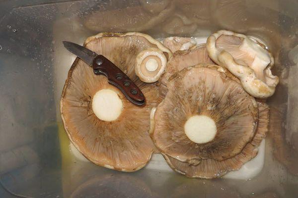 Чистка грибов