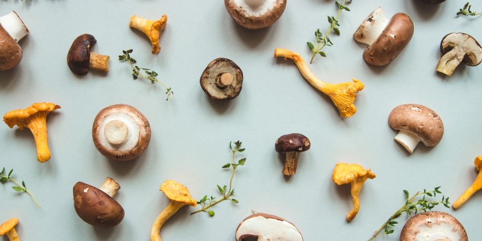 Как приготовить грибы: 10 идей