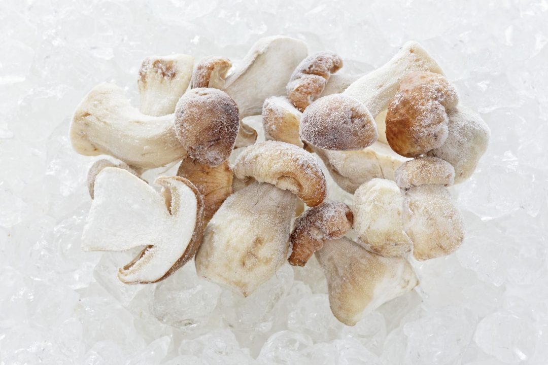 Как заморозить белые грибы на зиму: подготовка и заморозка, хранение