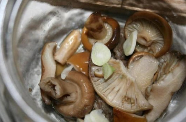 Как вкусно замариновать и засолить грибы песочники на зиму
