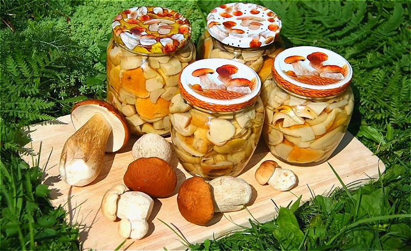 Как мариновать белые грибы - простые и вкусные рецепты