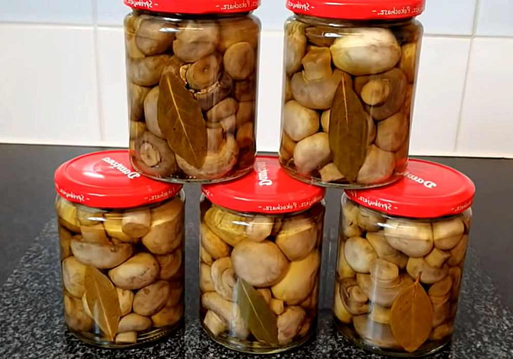 Маринованные грибы - рецепт, как приготовить вкусные маринованные грибы | Пошаговые рецепты на Recept.ua