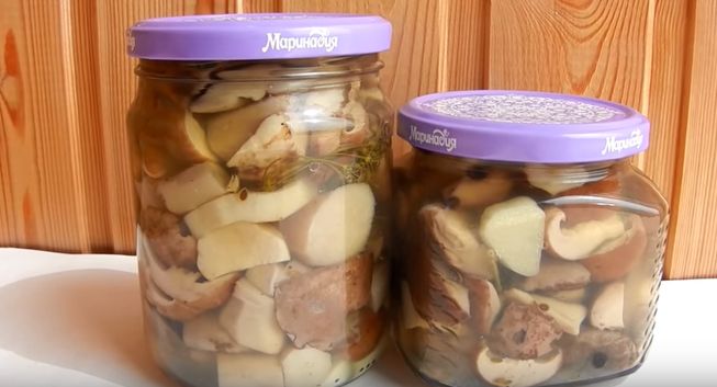 Маринованные грибы на зиму - 7 лучших рецептов