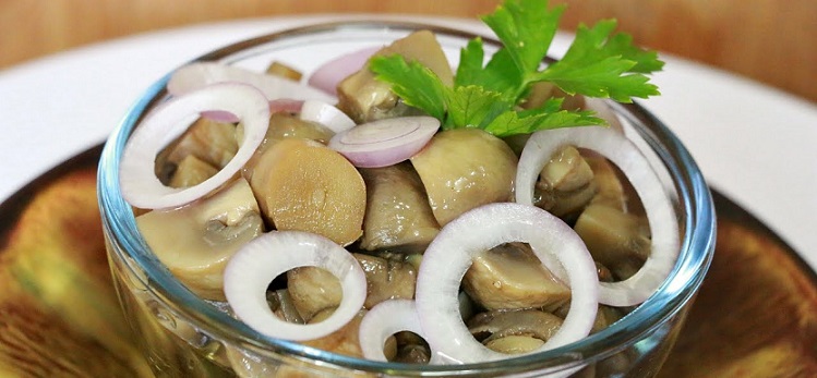 Самые простые способы и рецепты маринования грибов на зиму