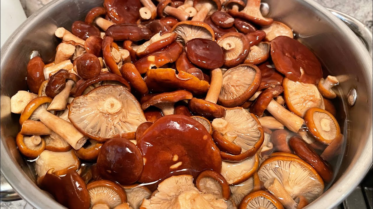 Соление грибов | Пошаговый рецепт, как солить грибы на зиму в домашних условиях - YouTube