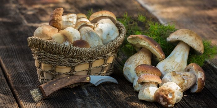 Нужно ли варить белые грибы перед жаркой
