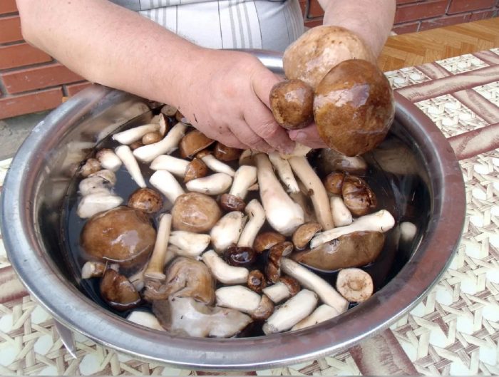 Сколько хранятся вареные грибы в холодильнике