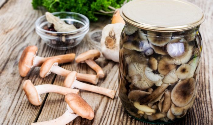 Самые простые способы и рецепты маринования грибов на зиму