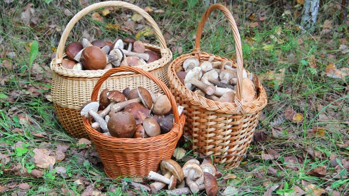 Корзиночки с грибами