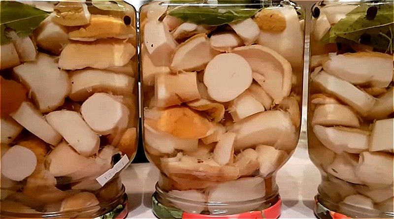Простой рецепт маринованных белых грибов