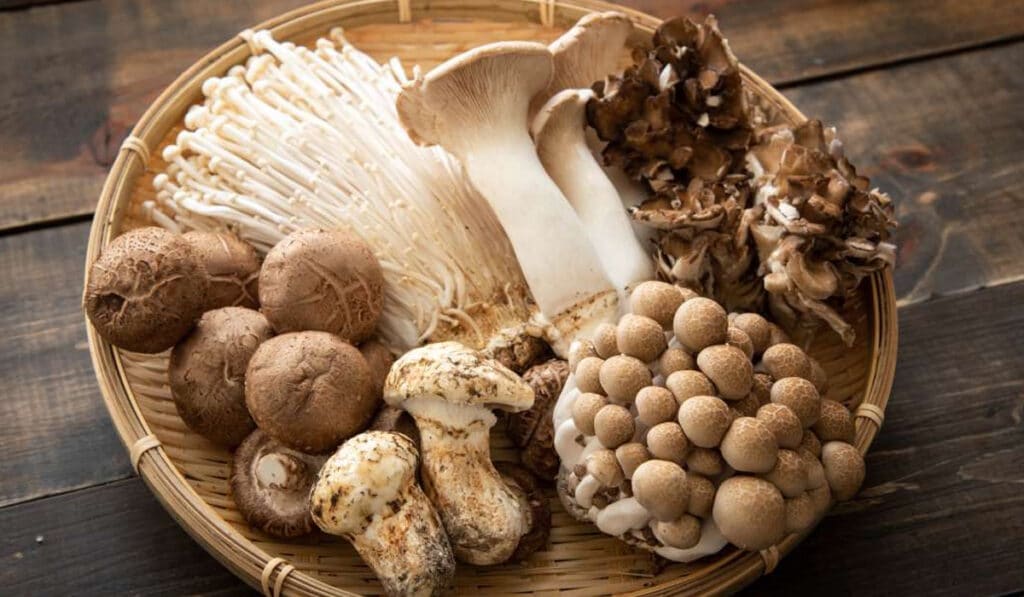 Приготовление грибов: виды, вкус, идеи приготовления