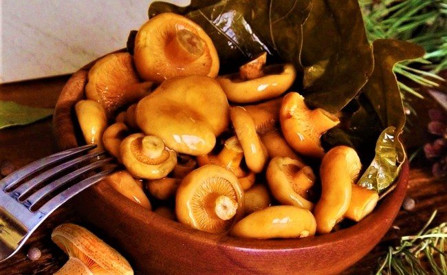 Гвоздика на зиму - 10 лучших рецептов для любителей грибов