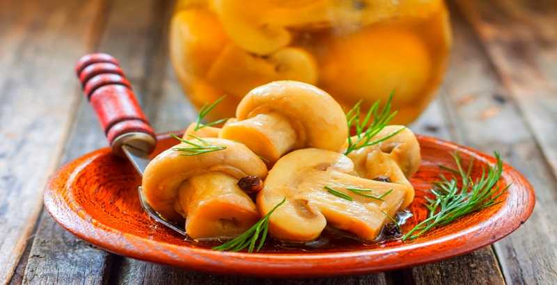 10 лучших рецептов маринада для грибов