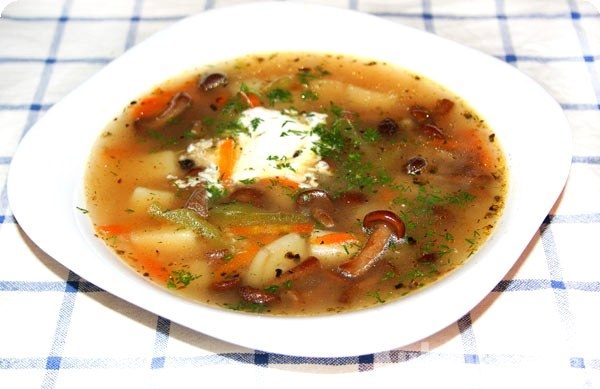 Суп с замороженными грибами лисичками - рецепт с фотографиями - Povar.Ru