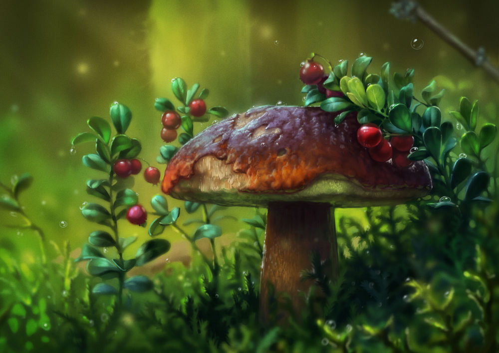 Обои Грибы среди растений с ягодами, автор Катя Жбанова, обои на рабочий стол, скачать обои, обои бесплатно