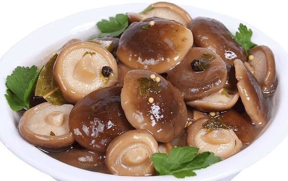 Соленые грибы на зиму теплым способом под гнетом: 13 рецептов на зиму в домашних условиях в горшочке и в банке