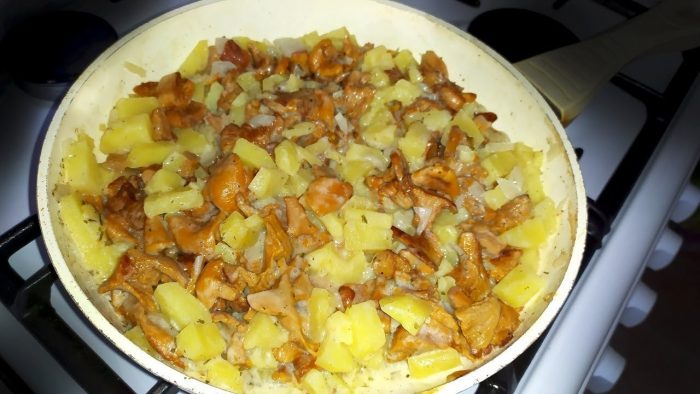 Как приготовить тушеную картошку с лисичками