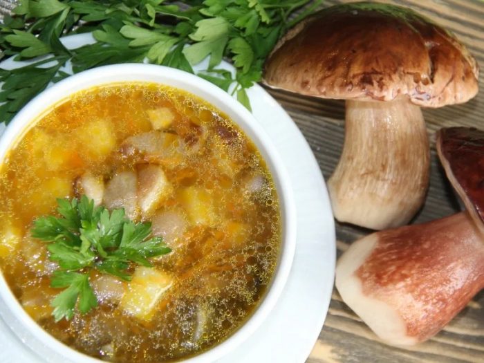 Как приготовить грибной суп из свежих и замороженных грибов