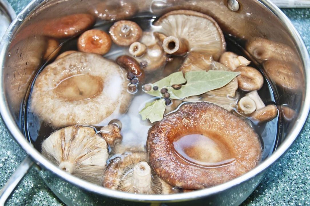 Засолка вареных грибов под прессом в кастрюле и в стеклянной банке — рецепты приготовления в домашних условиях